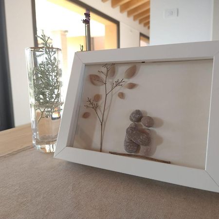 Agriturismo Verdecielo ปาโดวา ภายนอก รูปภาพ