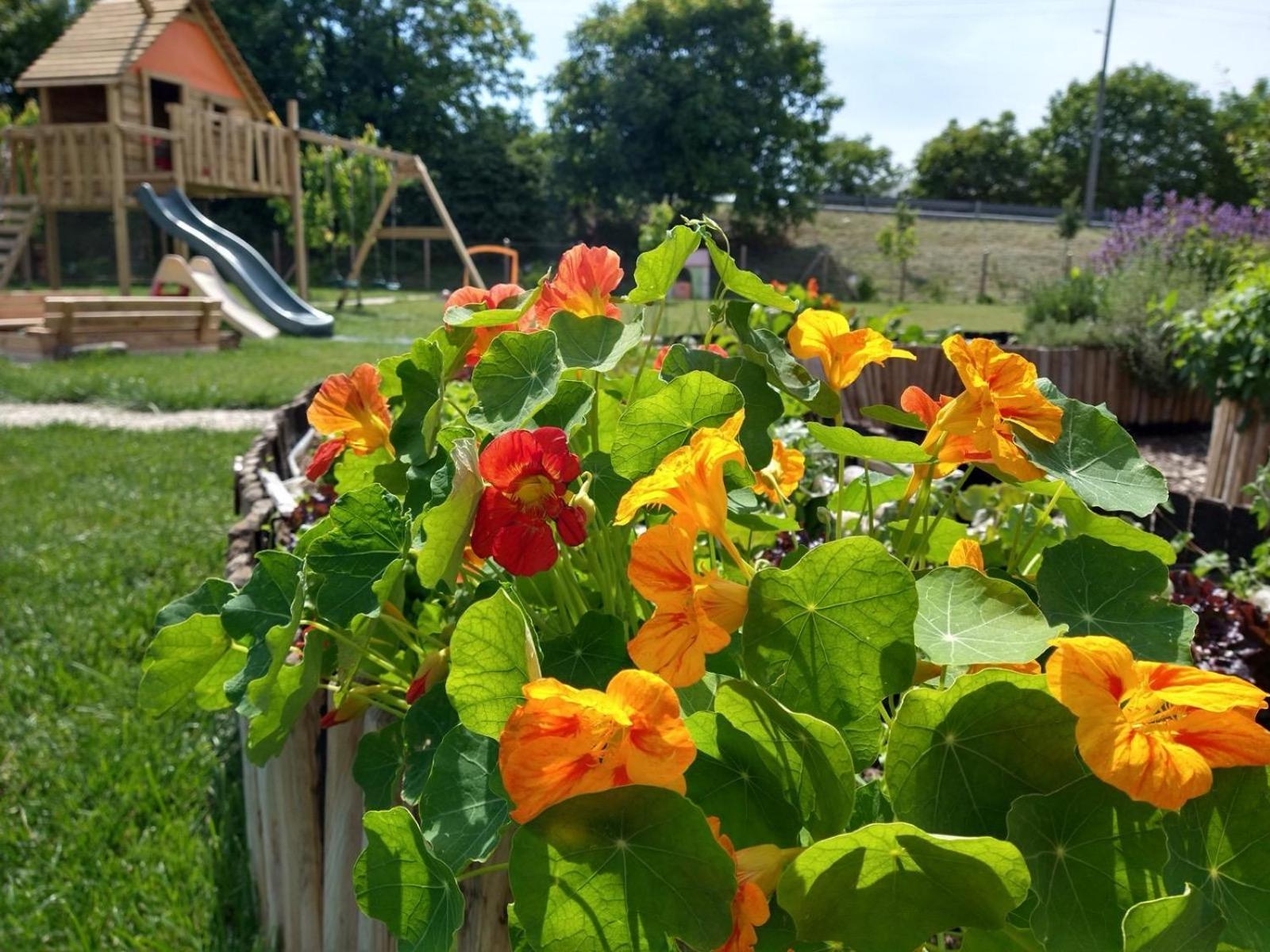 Agriturismo Verdecielo ปาโดวา ภายนอก รูปภาพ